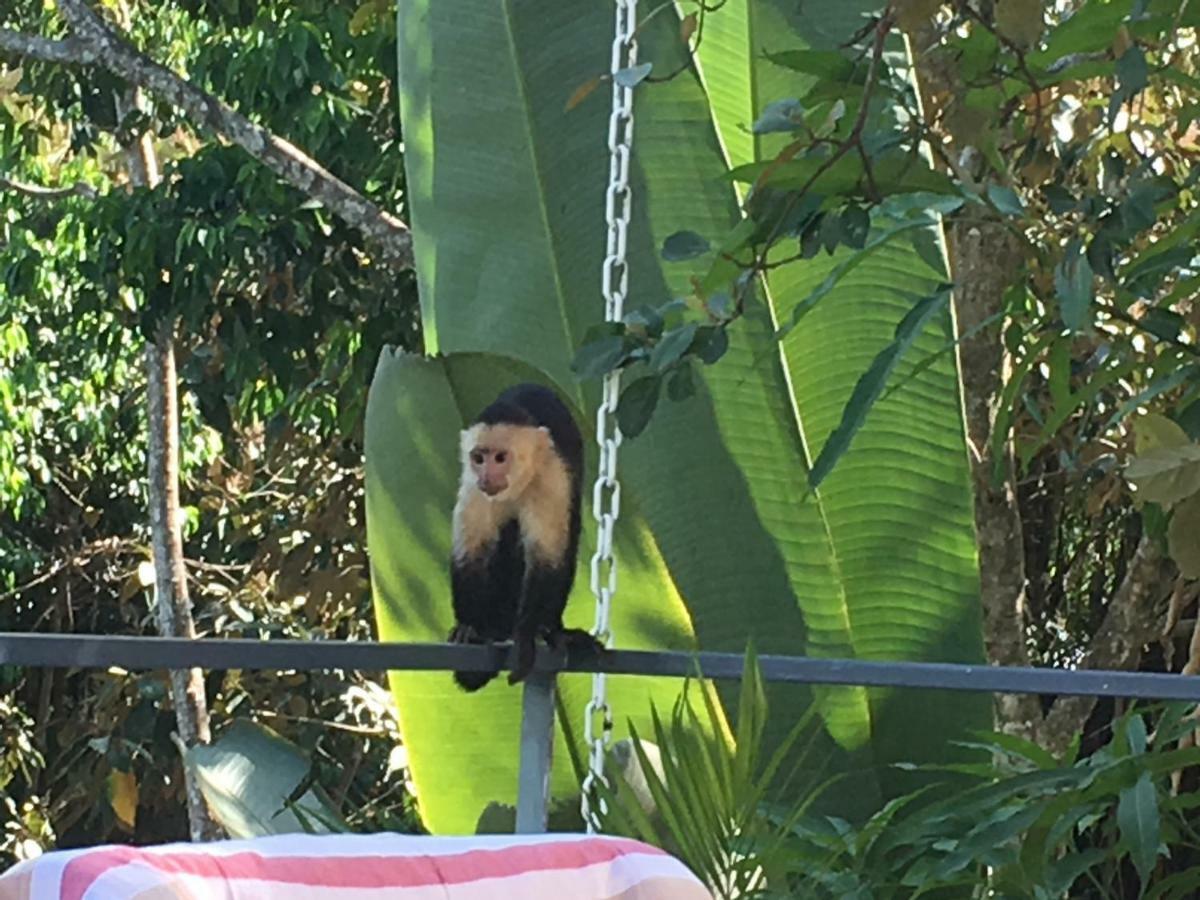 Casa Libertinn Manuel Antonio Εξωτερικό φωτογραφία